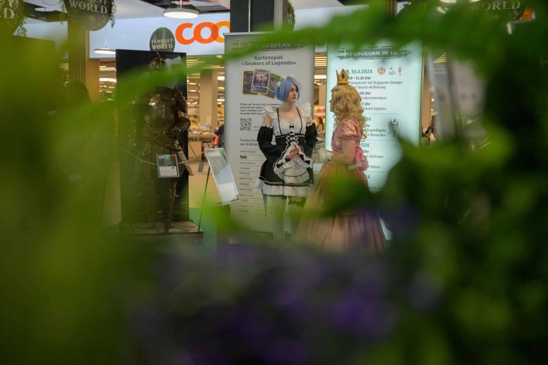 Galerie Bild